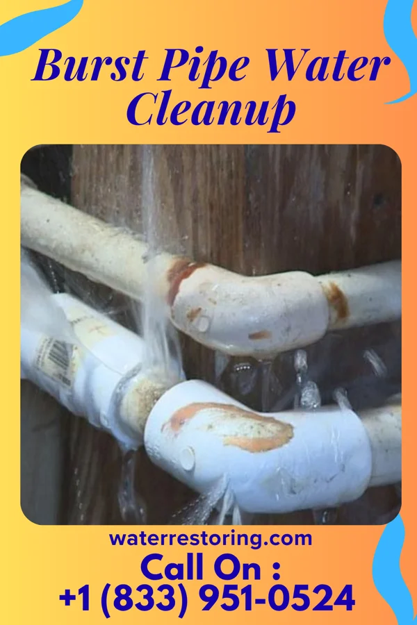 Burst Pipe Water Cleanup in Mowbray Mountain, TN