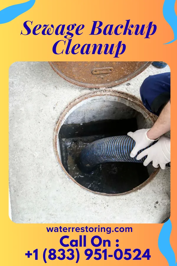 Sewage Backup Cleanup in Mowbray Mountain, TN